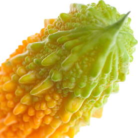 Bittermelon | Mexico