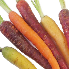 Colored Carrots | California