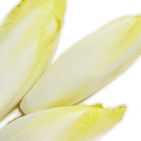 Endive | Belgium