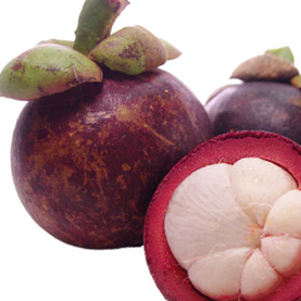 Mangosteen | Thailand