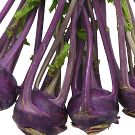 Purple Kohlrabi | California