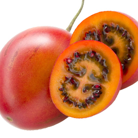 Red Tamarillo | New Zealand